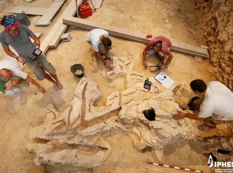 utensili Neanderthal Utensili Neanderthal in legno: la stampa 3D li riporta in vita