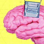 Coherence Neuro