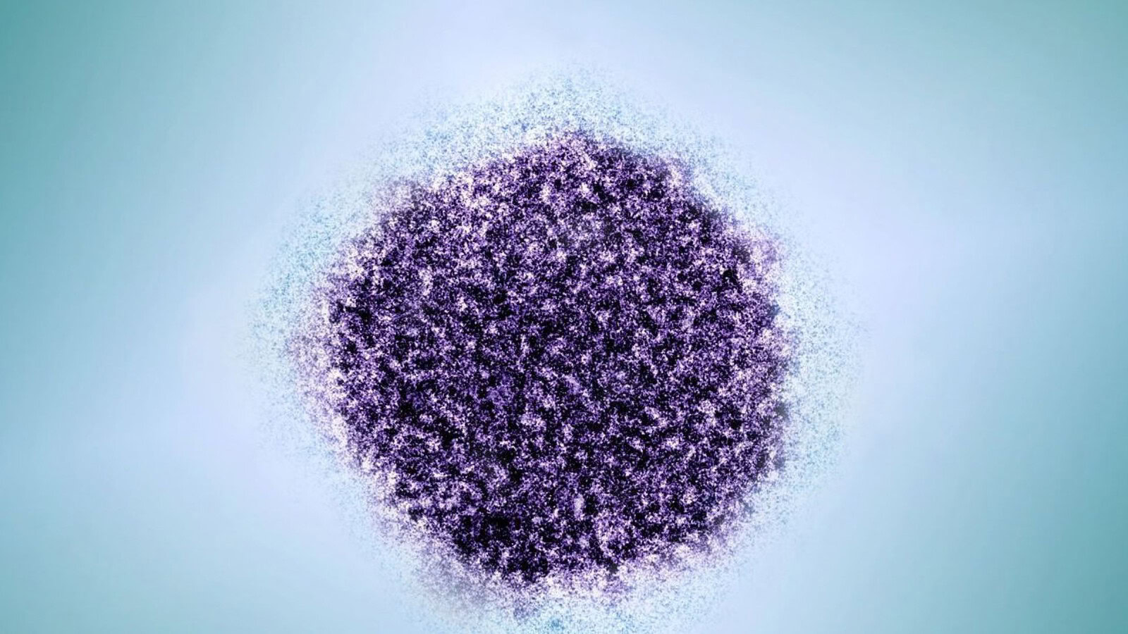 Cancro e infezioni