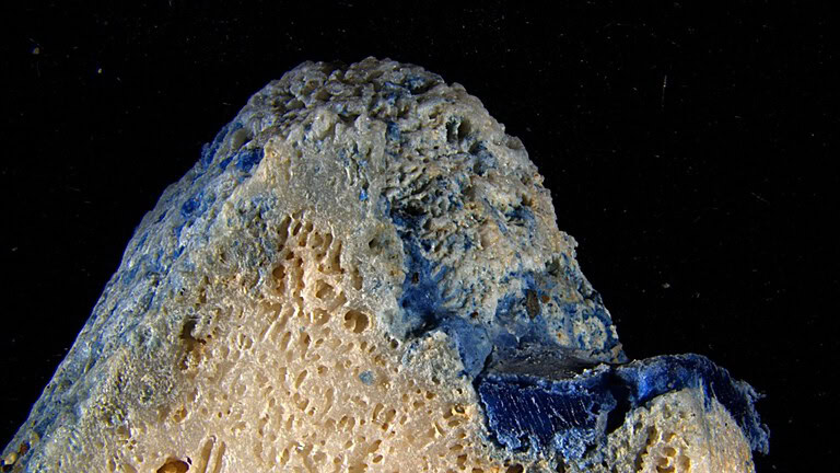 Plasticoral: a Okinawa