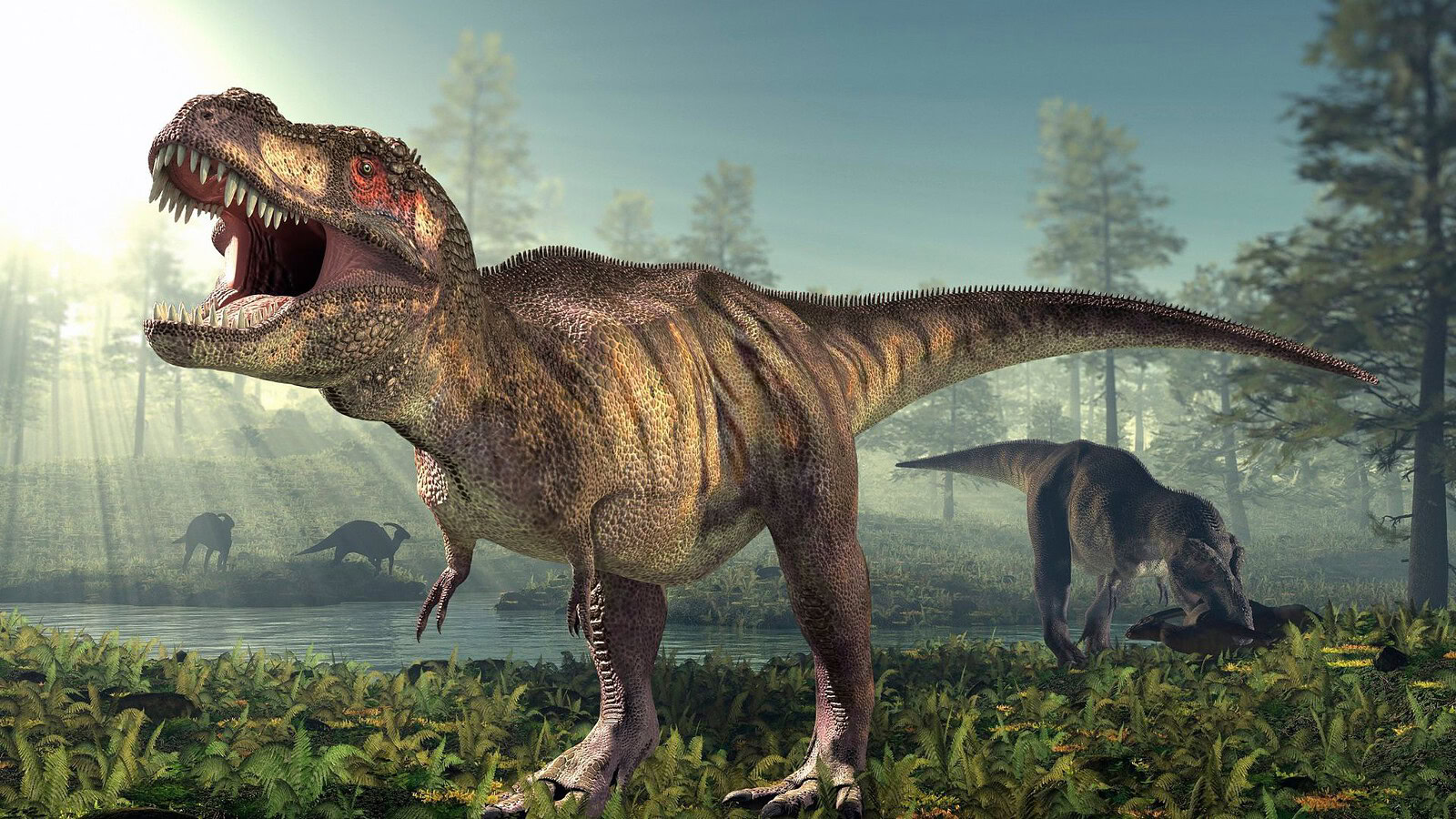 Nanotyrannus all'asta: il fossile Jodi riaccende il caso T. rex