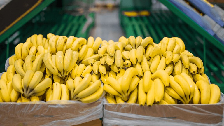 Banane modificate