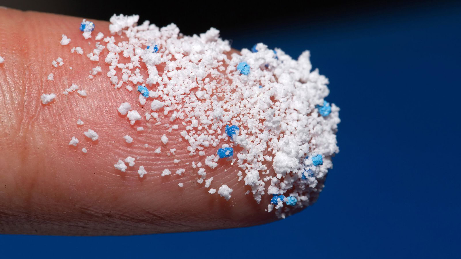 Microplastiche, bollire e filtrare l'acqua ne elimina fino al 90%