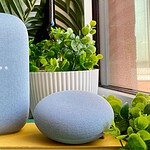 Google Home, un bug svuota le stanze: l'app ricorda tutto