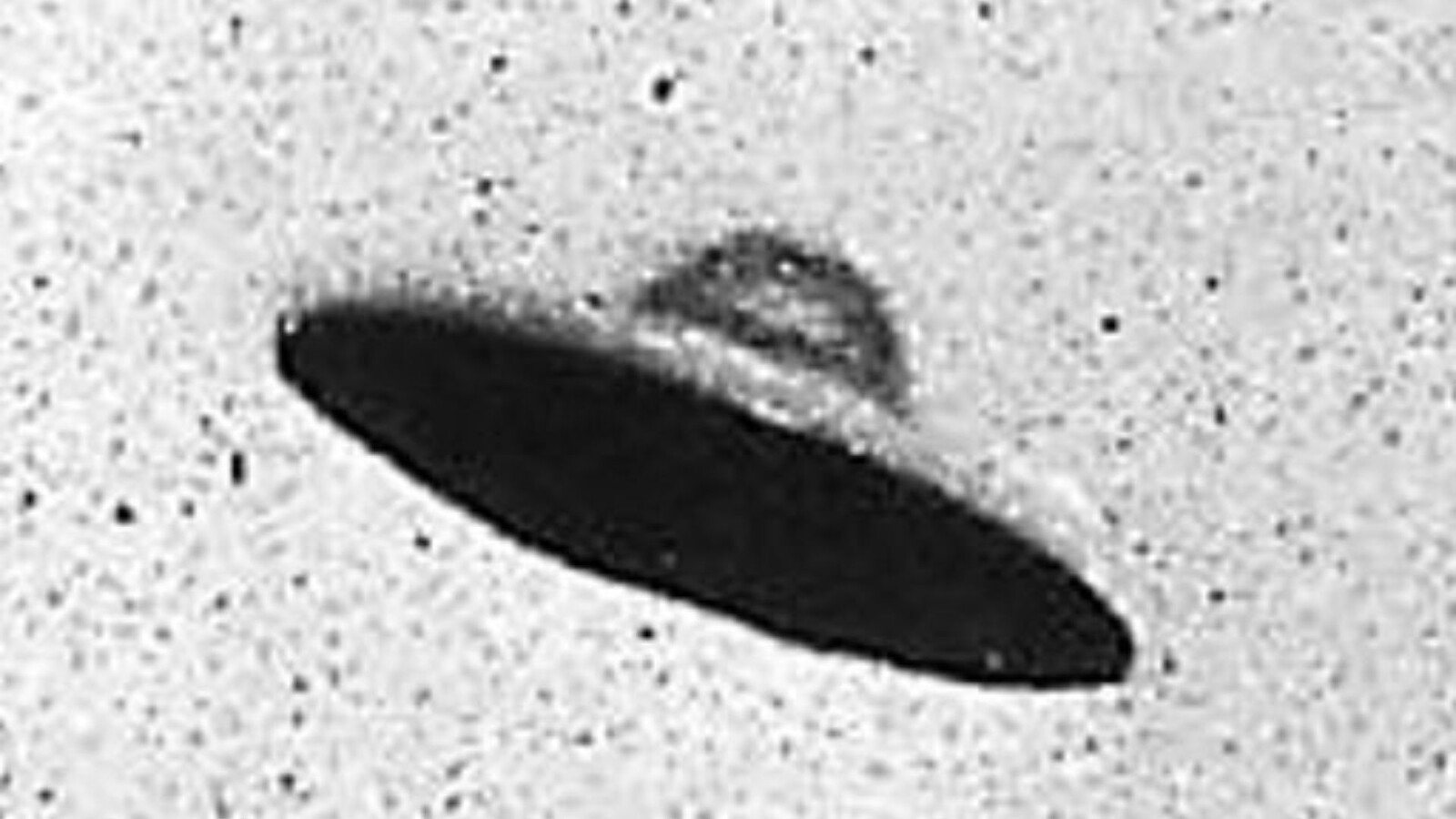 UFO Pentagono