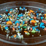 Microplastiche: a contatto con l'acqua generano radicali reattivi