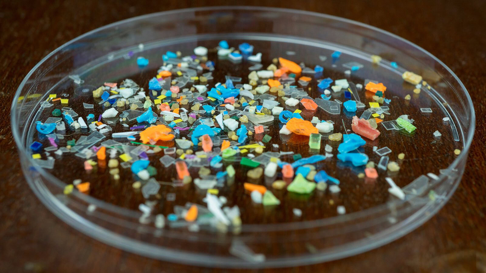 Microplastiche: a contatto con l'acqua generano radicali reattivi