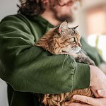 Gatti e padroni