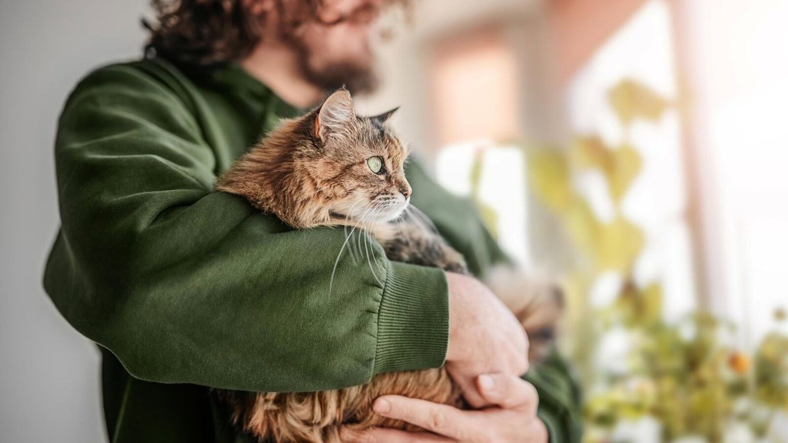 Gatti e padroni