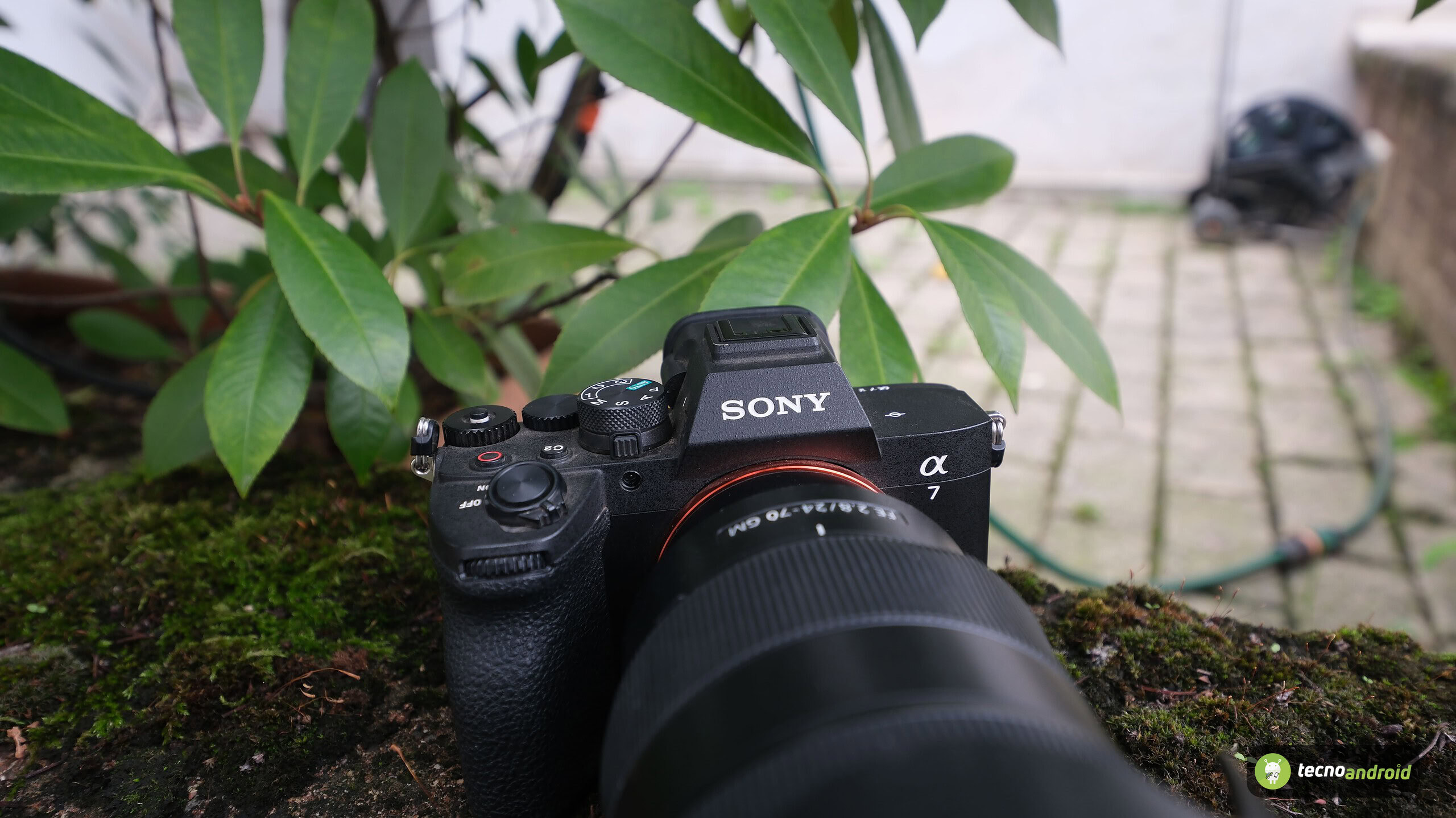 sony sony