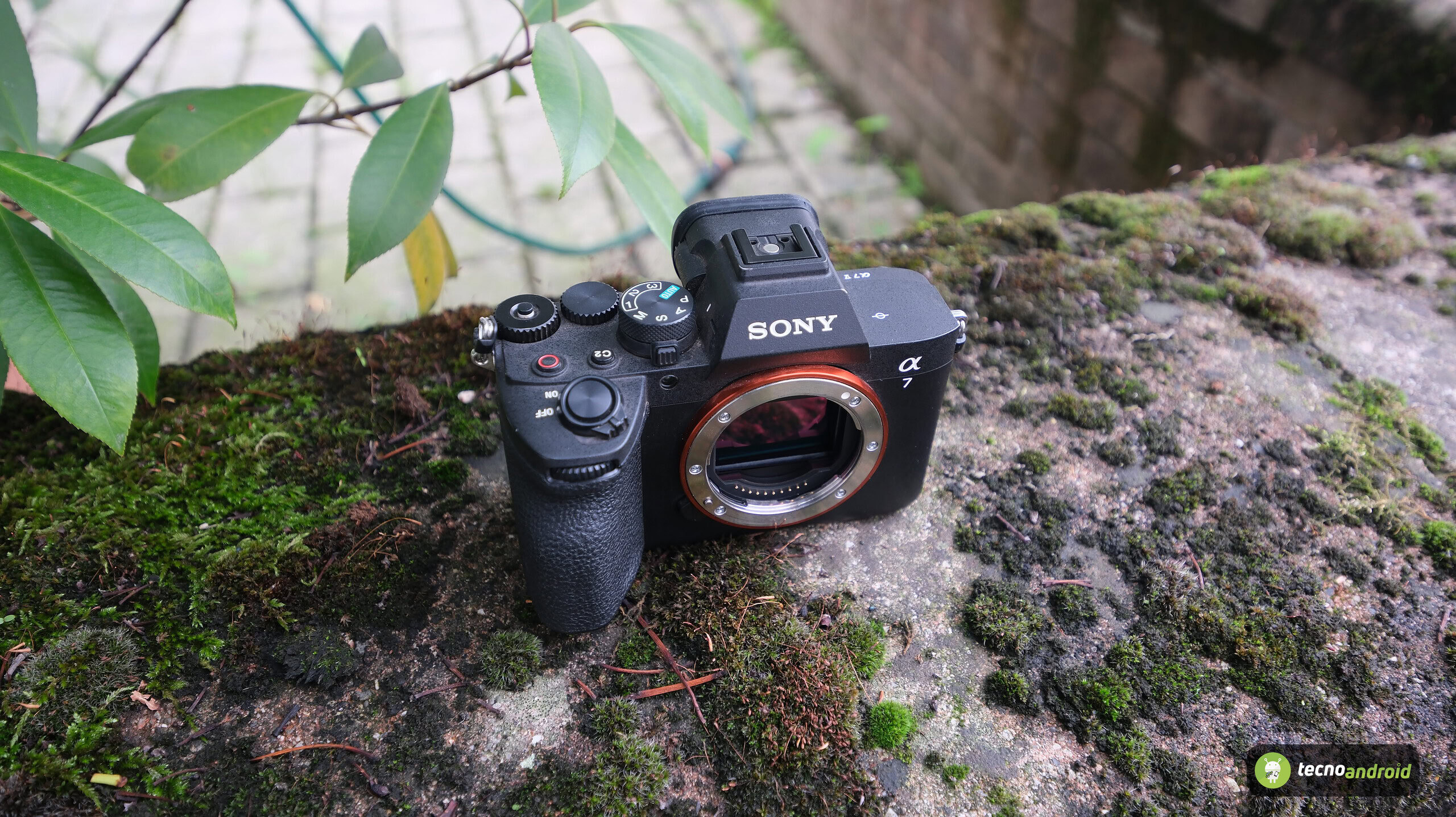 sony - immagine 34 sony - immagine 34
