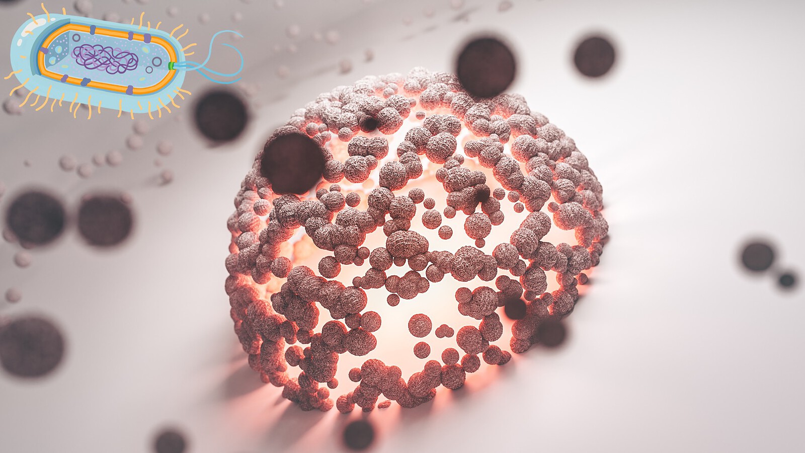 DRT3, i batteri creano DNA dal nulla per difendersi dai virus