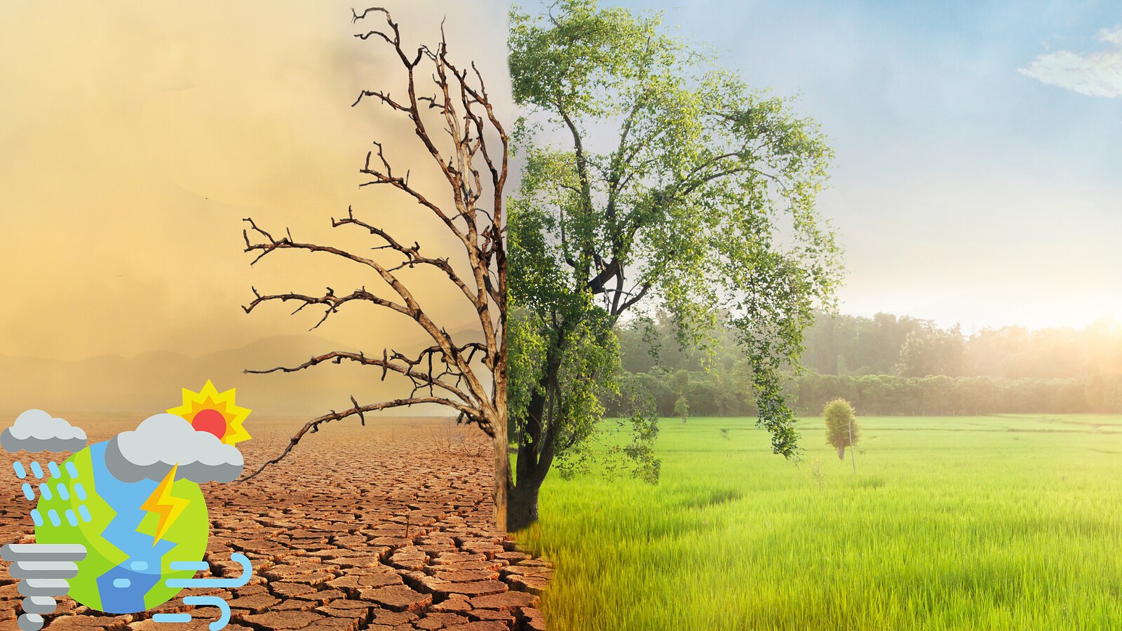 Attribuzione climatica, almeno 30 richieste contro gli atenei USA
