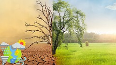 Attribuzione climatica, almeno 30 richieste contro gli atenei USA