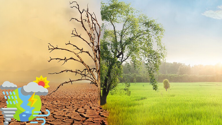 Attribuzione climatica, almeno 30 richieste contro gli atenei USA