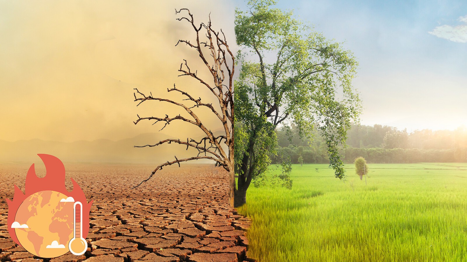 Cambiamento climatico, 146 scienziati: è emergenza sanitaria
