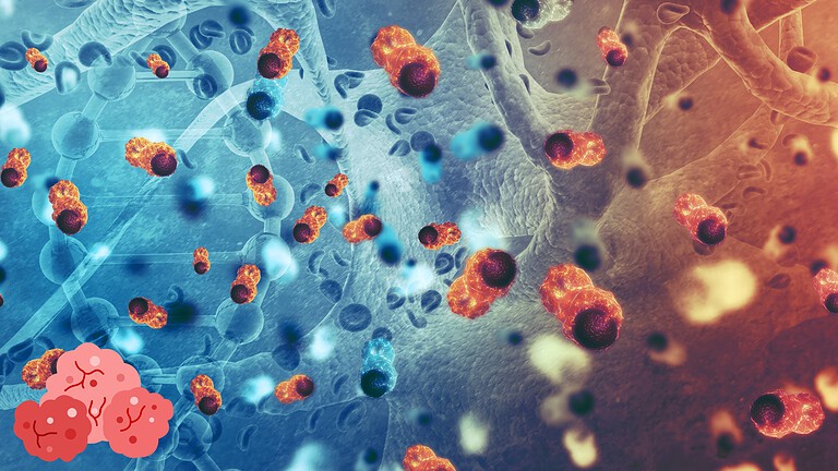 Cellule tumorali zombie: così sopravvivono alla chemioterapia
