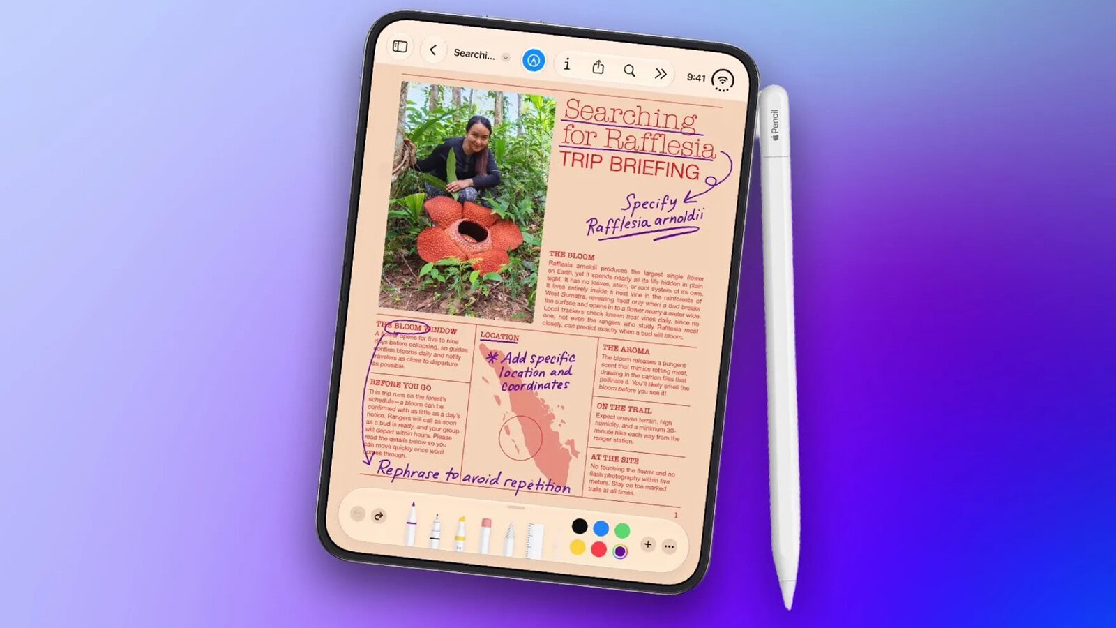 iPhone Duo, nuova etichetta sull'App Store per le app ottimizzate