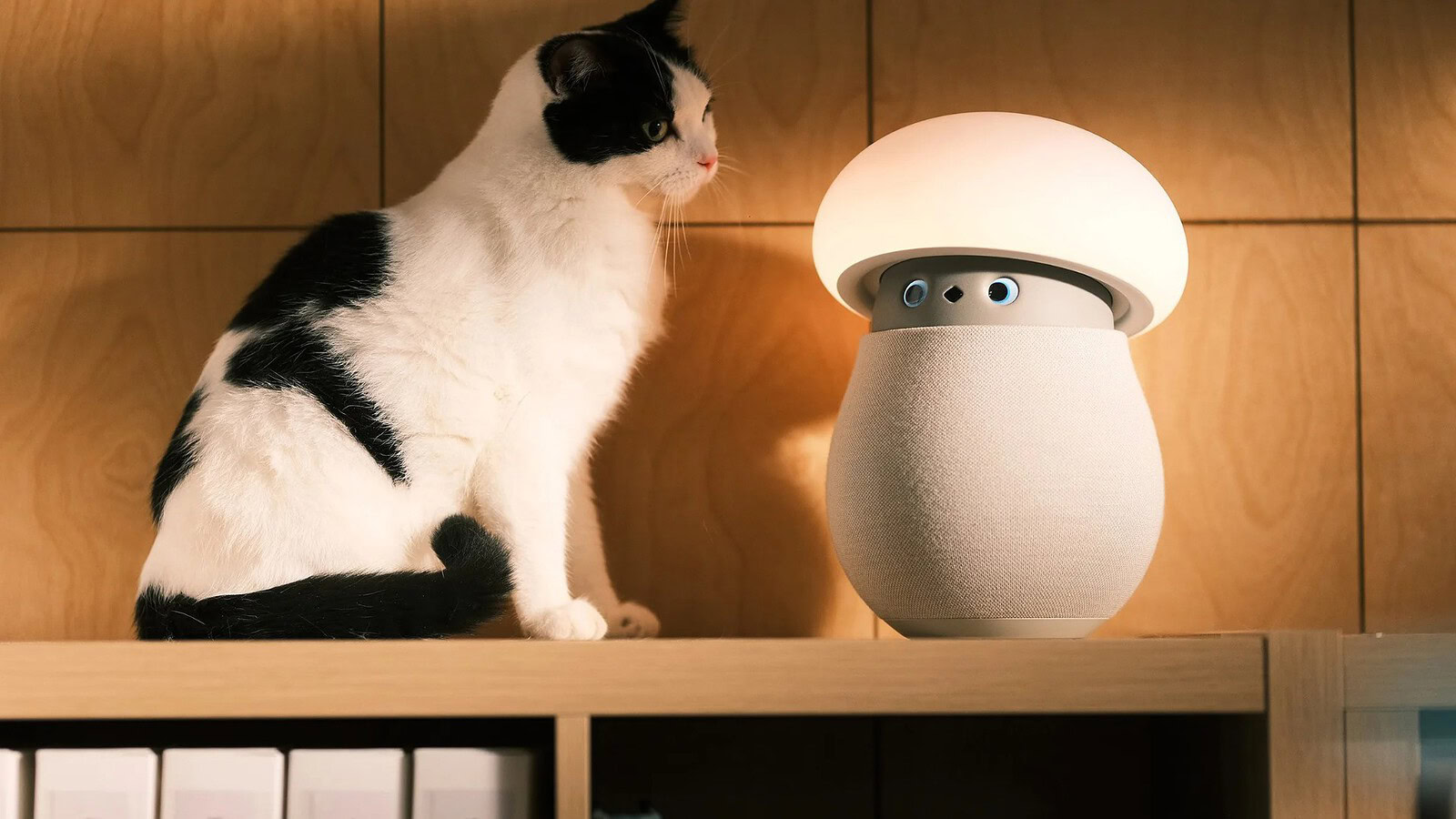 Mori, il robot a forma di fungo che conquista senza fare nulla