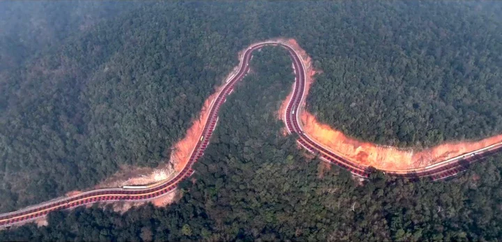 Tigri in India: strada rossa di 2 km per frenare le auto
