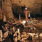 Neanderthal