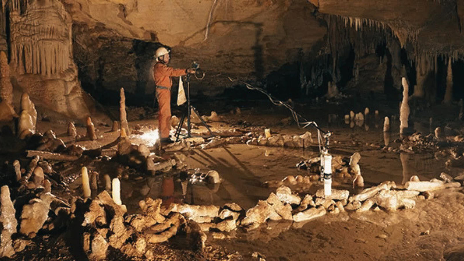 Neanderthal