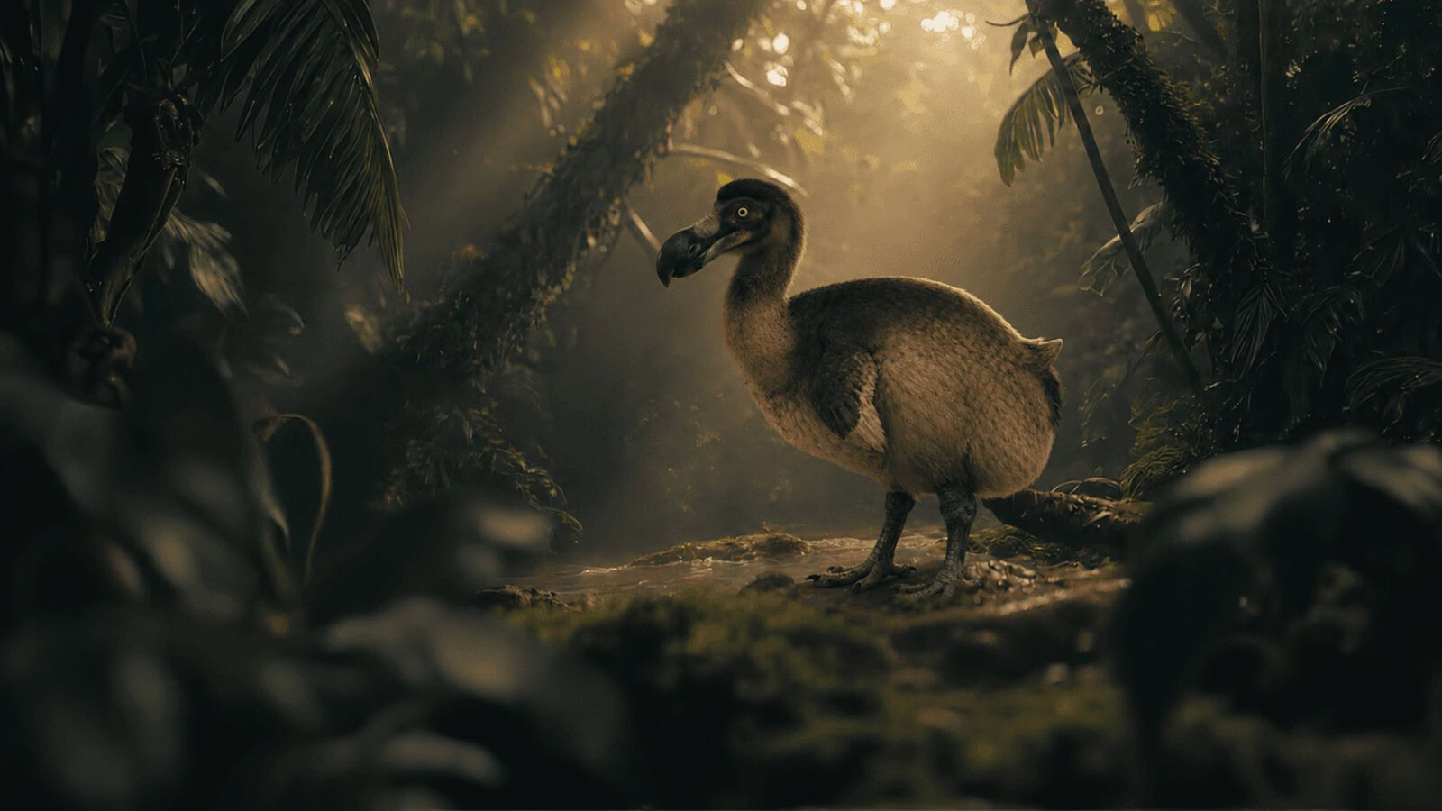 de-estinzione del dodo