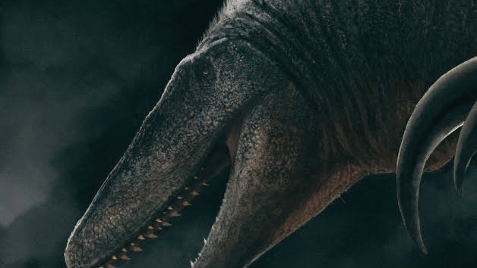 megaraptor