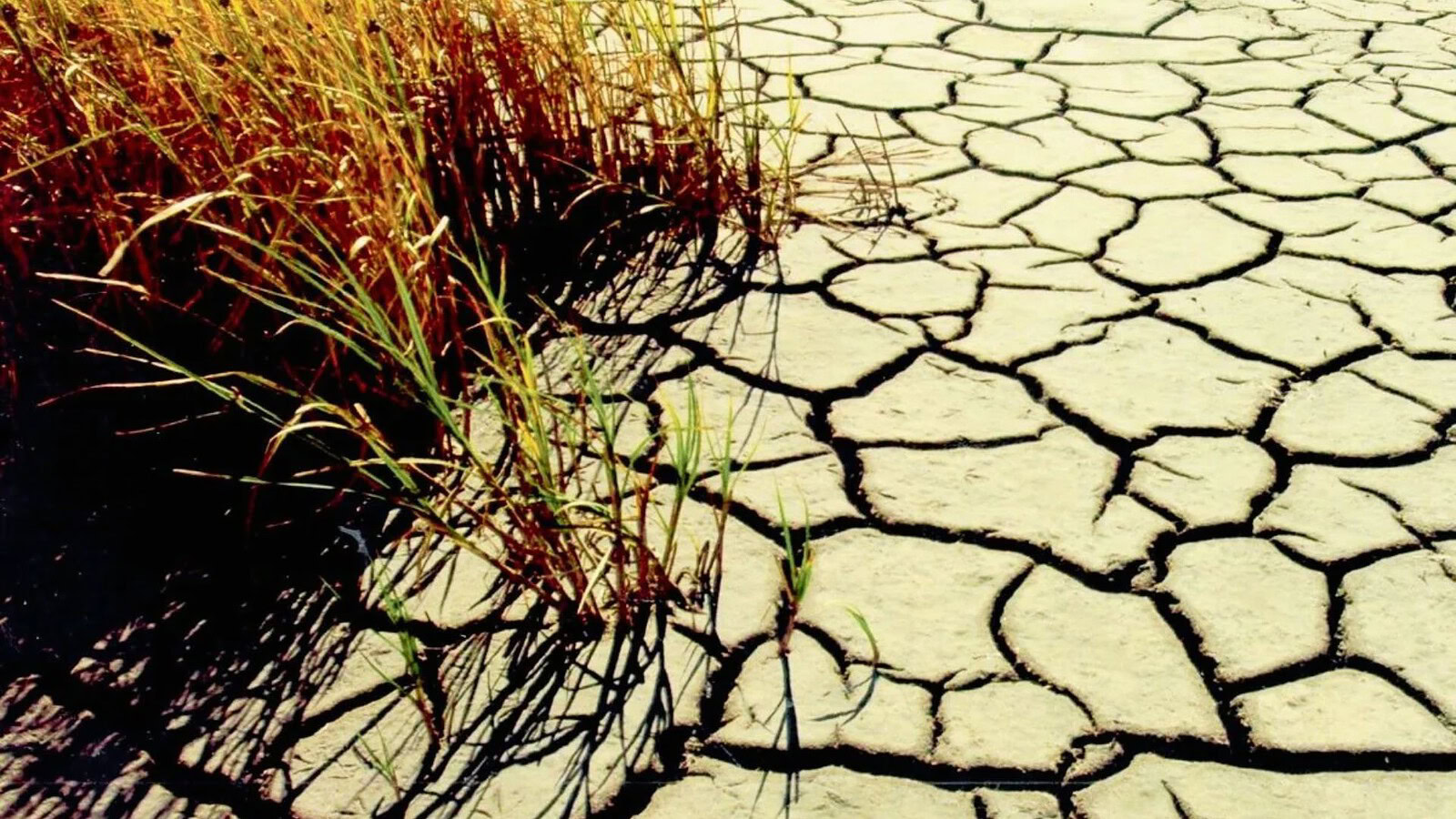 cambiamento climatico