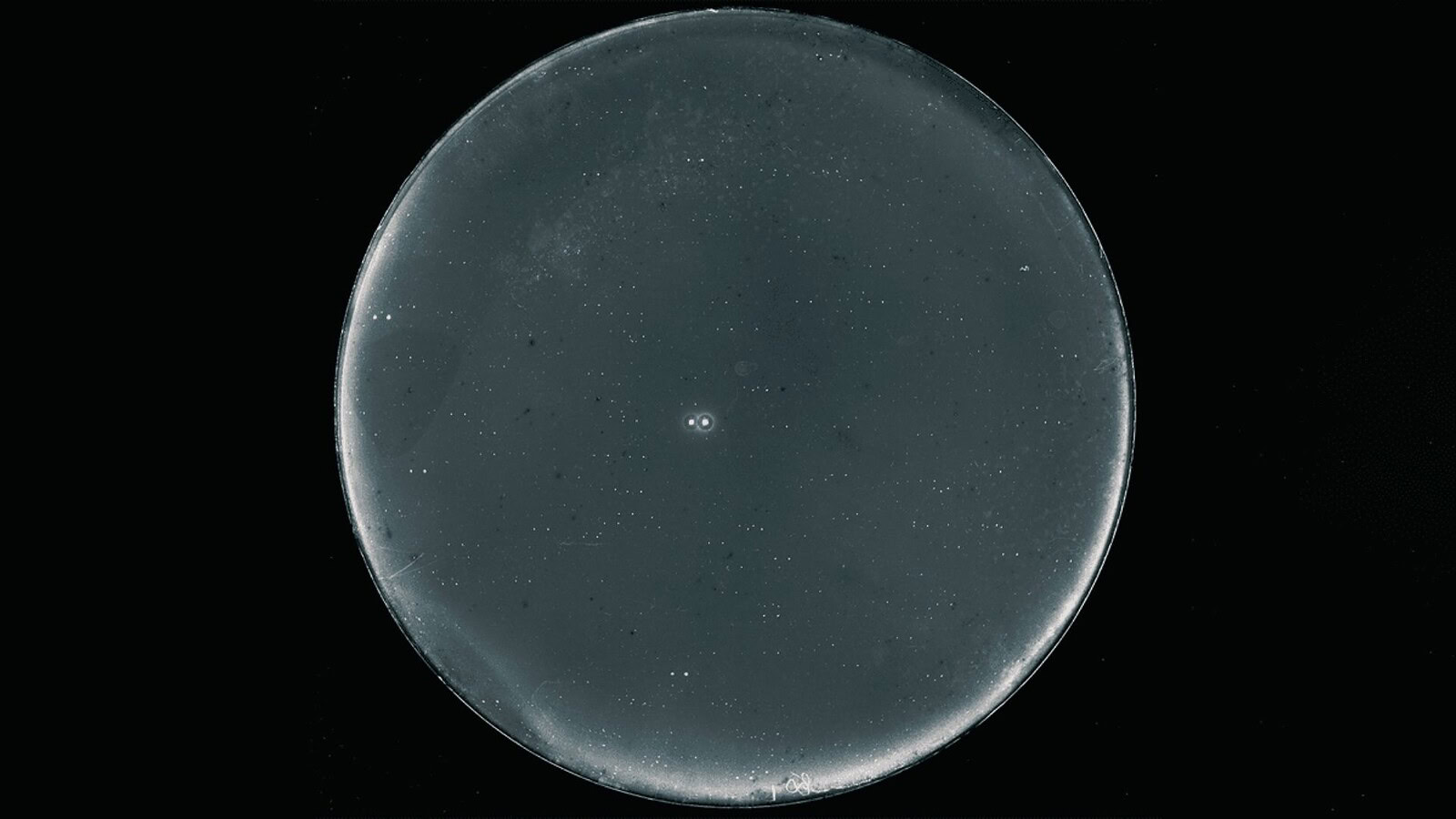 70 Ophiuchi
