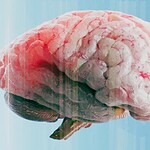 invecchiamento cerebrale