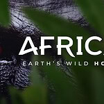 Africa: Earth's Wild Home, la nuova serie di National Geographic