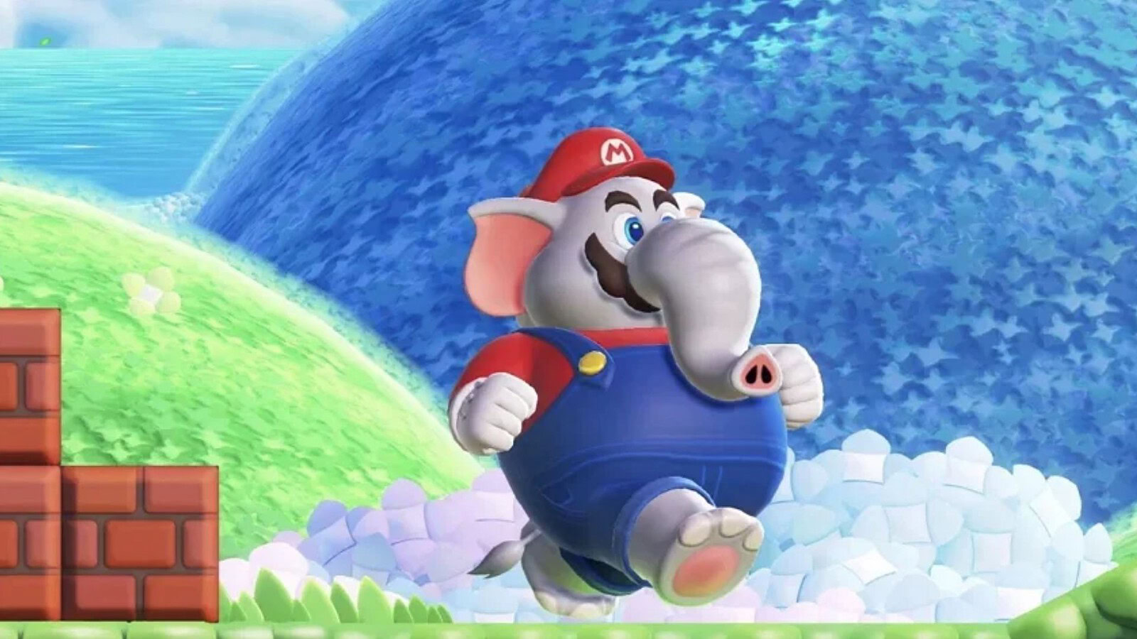 Super Mario Bros. Wonder su PC: port nativo senza emulatore