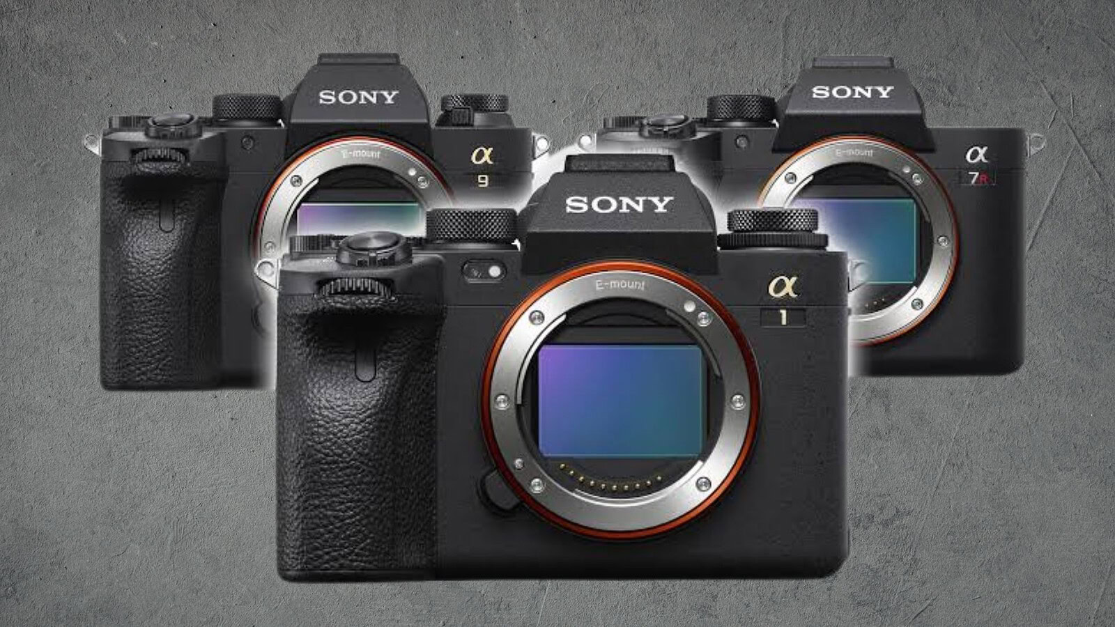Fotocamere Sony: come leggere i nomi tra A1, A7, A9 e ZV