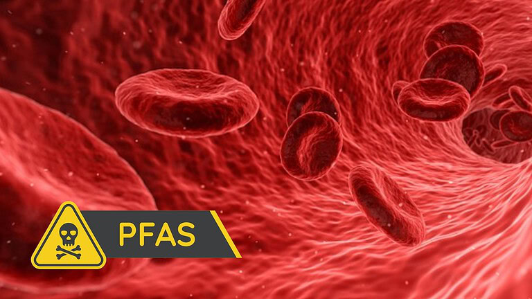 TFA nel sangue: trovato nel 100% dei 110 europei analizzati