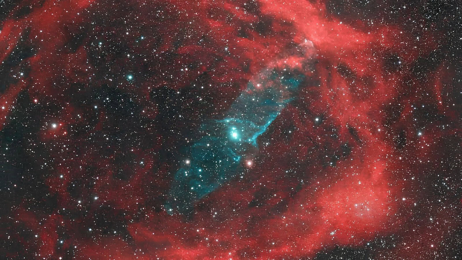 Galassia Calamaro: neutrini anomali per sondare il suo buco nero