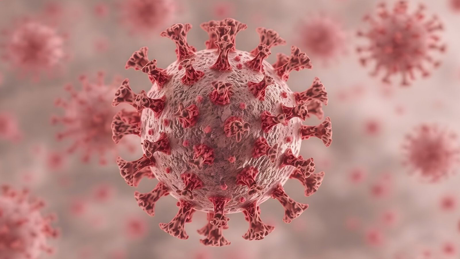 Virus Shamonda, primo decesso umano in Francia: il caso di Lione