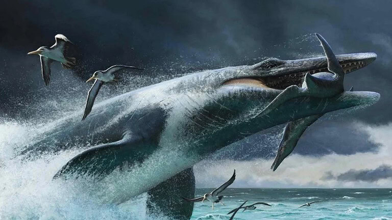 Mosasauri, alcuni scattavano come squali bianchi: lo studio