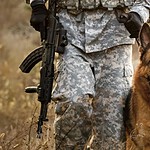 Warhound raccoglie 200 milioni per cani geneticamente modificati