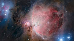 Nebulosa di Orione: una stella forse svela il paradosso dell’età