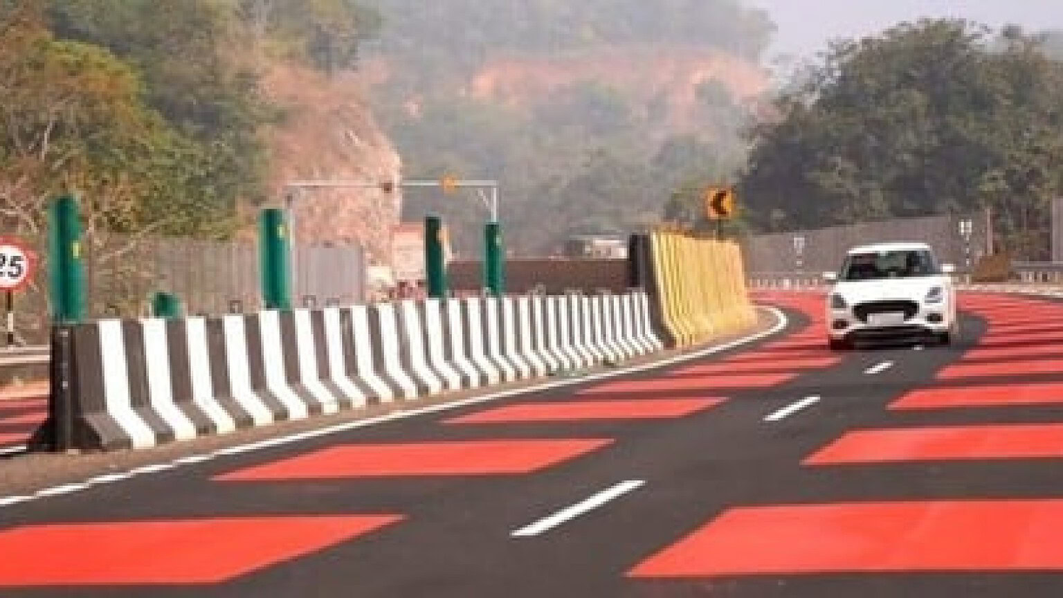 Tigri in India: strada rossa di 2 km per frenare le auto
